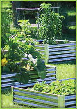Garden Beds